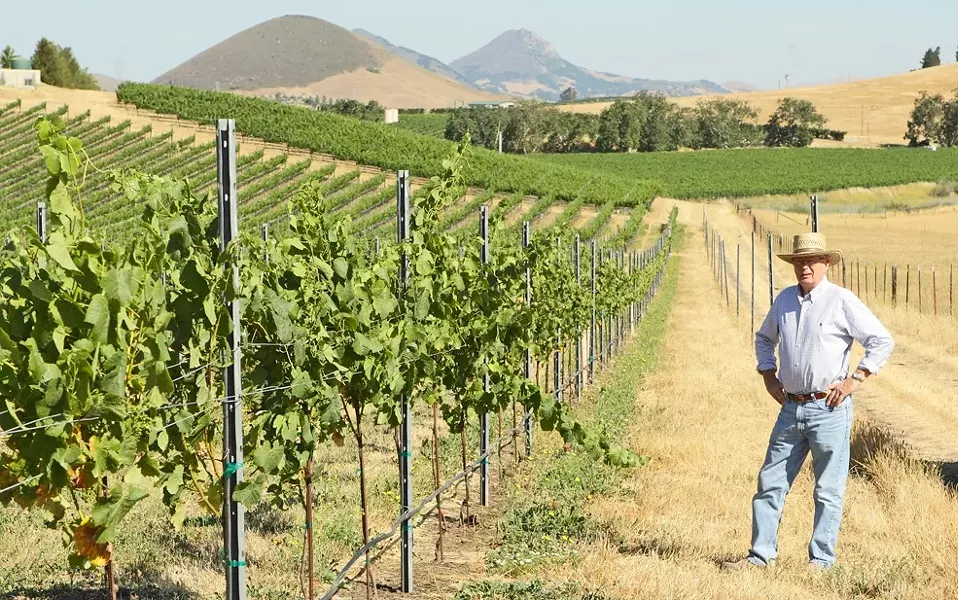 NATURAL MAN : Jean-Pierre Wolff is a friend to the land and creatures of his vineyards. - PHOTO BY STEVE E. MILLER