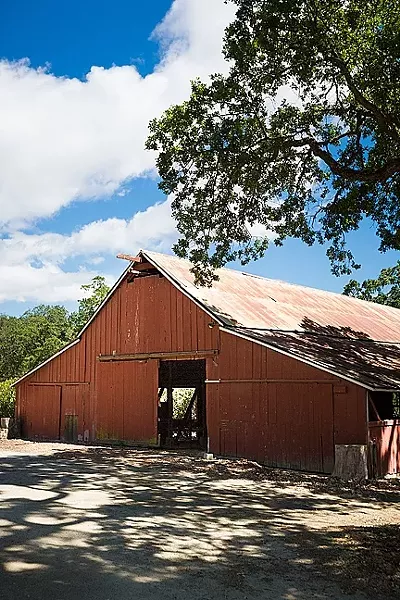 ANOTHER ONE BITES THE DUST: The old red dairy barn on Pasolivo’s property on Vineyard Drive west of Templeton will be demolished as part of the company’s plans to expand olive oil production, ramp up their retail, and hold events. - FILE PHOTO BY KAORI FUNAHASHI
