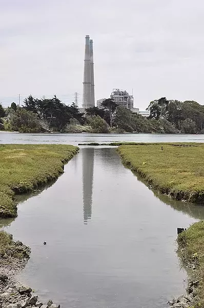 ICONS: It wouldn’t be Moss Landing without that pair of smokestacks soaring above the Elkhorn Slough. Those mark the beginning of an up-close tour of area wildlife. - PHOTO BY CAMILLIA LANHAM