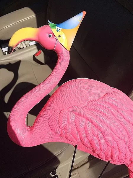 PINK PAY DIRT: The flamingo flocking fundraiser has been a fun way for the Gay and Lesbian Alliance of the Central Coast to raise money to fix its roof in downtown San Luis Obispo. “Victims” of the flocking have had fun joking around with the nonprofit. In this instance, the birds donned party hats before they were picked up. - PHOTO COURTESY OF KRISTIN ARMSTRONG