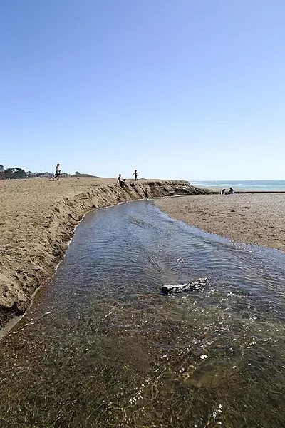CONNECTION: Runoff from George Kendall’s property on Santa Rosa Creek Road eventually ends up in the estuary on San Simeon State Beach and flows into the ocean. - PHOTO BY DYLAN HONEA-BAUMANN