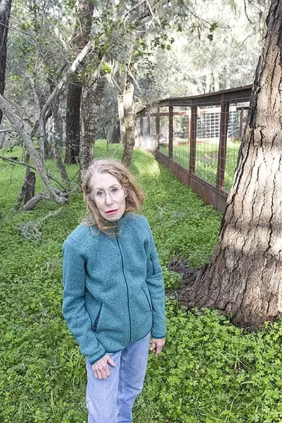 UNSATISFIED: Carol Flash has been living in her home for about 20 years and has only recently realized the hazard that unmaintained debris created for her home. - PHOTO BY JAYSON MELLOM