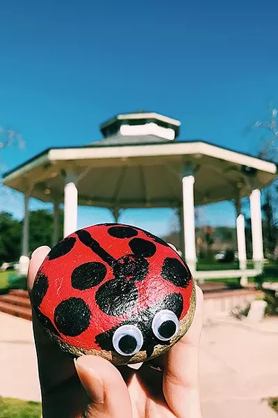 GOOD VIBES : A ladybug rock with googly eyes is deposited at Mitchell Park in downtown SLO. - PHOTO COURTESY OF CITY OF SAN LUIS OBISPO