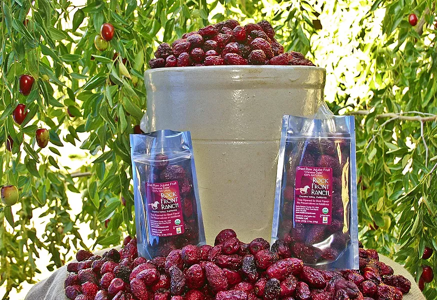 QUEEN JUJUBE Farmer Alisha Taff of Rock Front Ranch is growing an unusual and exotic crop on her Cuyama Valley property. - PHOTO BY HAYLEY THOMAS CAIN