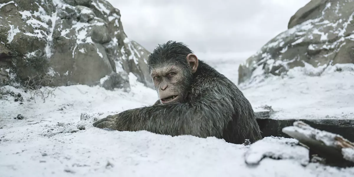 THE FINAL BATTLE In War for the Planet of the Apes, one fight will determine the future of humans, apes, and the planet. - PHOTO COURTESY OF 20TH CENTURY FOX