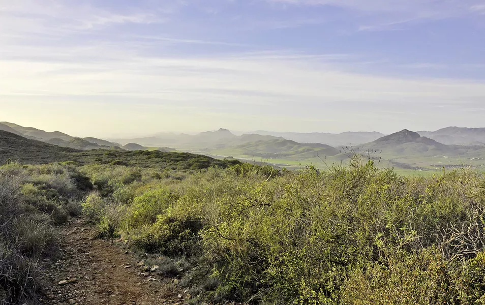 MORRO VIEW Take the Mariposa Trail into the Irish Hills for a sweet view of the Nine Sisters, volcanic peaks that stretch from San Luis Obispo into Morro Bay. - PHOTO BY CAMILLIA LANHAM