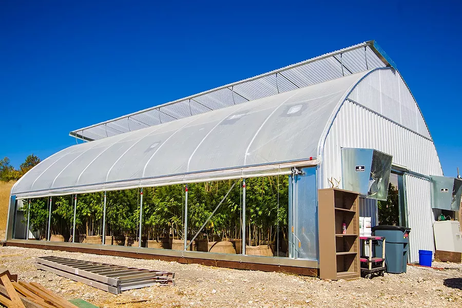 JUST SAY NO? The SLO County Board of Supervisors will continue a hearing to establish new marijuana regulations on Oct. 20, which includes a cap on outdoor grows and no cap on indoor grows, like this greenhouse in North County. - FILE PHOTO