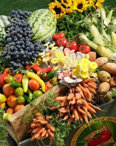 MELTING AWAY THE POUNDS Break out the fresh veggies. A new year means a new wave of diets, some less conventional than others. - FILE PHOTO BY STEVE E. MILLER