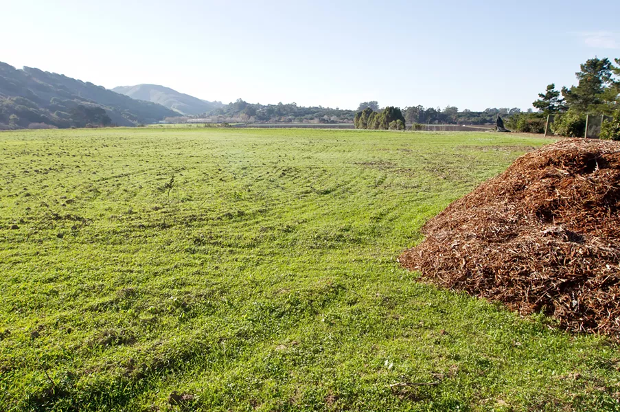 NO GROUNDWATER, NO PROBLEM A portion of the recycled water generated by the Los Osos sewer will be sold and delivered to properties with poor groundwater for crop irrigation, like this one on Blue Heron View Lane. - PHOTO BY JAYSON MELLOM