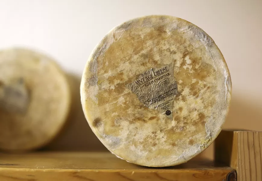 CHEESE BY THE NUMBERS Local and family operated Vintage Cheese Company sloshes through 3,500 gallons of milk to make 5,000 pounds of cheese (in 32 flavors and counting) per week. All that milk is produced by 950 cows, sheep, and goats located across California. - PHOTO COURTESY OF VINTAGE CHEESE COMPANY