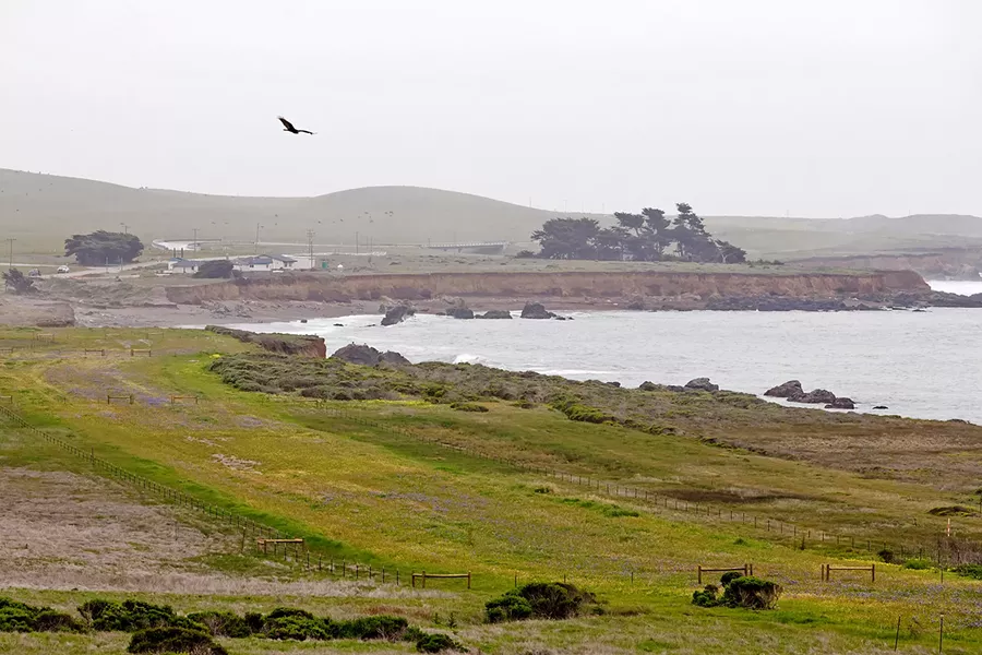 the Piedras Blancas Motel site into a campground, cabins, and refurbished motel rooms. - PHOTO BY JAYSON MELLOM