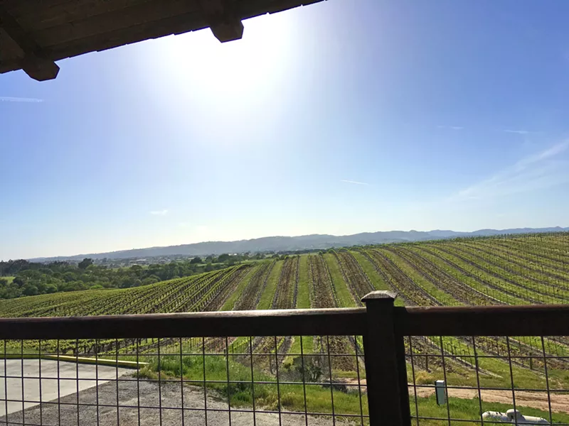 THE PASO WINE EXPERIENCE I drove my San Francisco friends from Cayucos to Paso Robles over Highway 46 for a late afternoon wine tasting sesh at Eberle Winery. - PHOTO COURTESY OF PETER JOHNSON