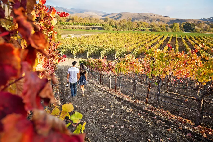 VINE'S PERSPECTIVE Preserving the history of area vineyards means digging deep—not just into the soil, but into garages, attics, and even yard sales—for documents and photos that piece together time, land, and humanity. - PHOTO COURTESY OF SLO WINE