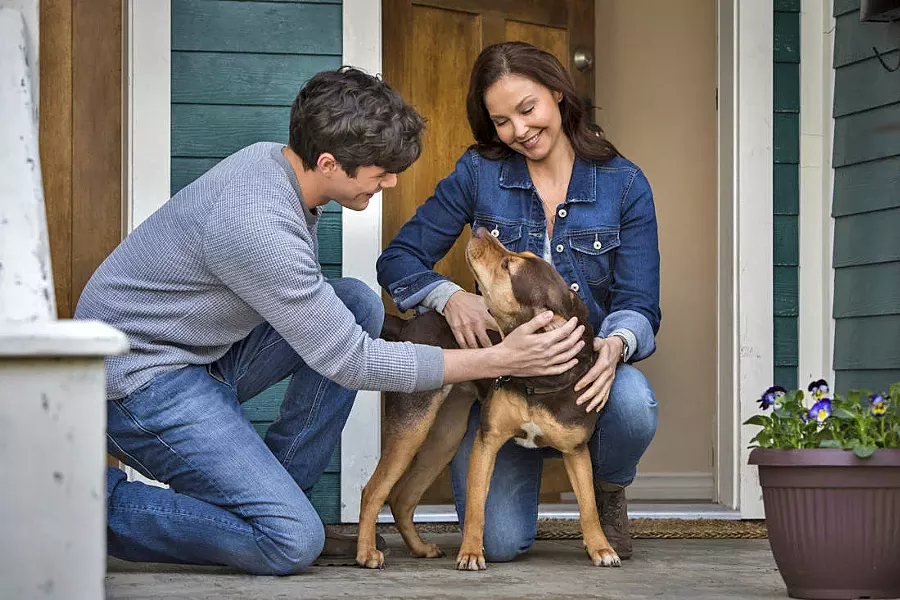 FAMILIAR BUT SWEET (Left to right) Lucas (Jonah Hauer-King), Bella (Shelby the dog voiced by Bryce Dallas Howard), and Terri (Ashley Judd) make a home together in the family adventure, A Dog's Way Home. - PHOTO COURTESY OF COLUMBIA PICTURES CORPORATION