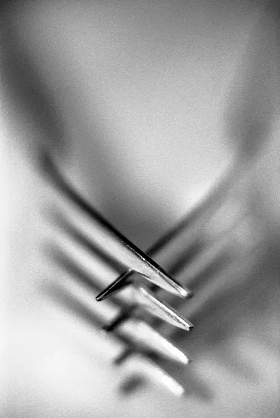 ENTWINED The photo Forks by local artist Lynn Schmidt celebrates the interconnectedness of people and the need for human connection. - PHOTOS COURTESY OF LYNN SCHMIDT
