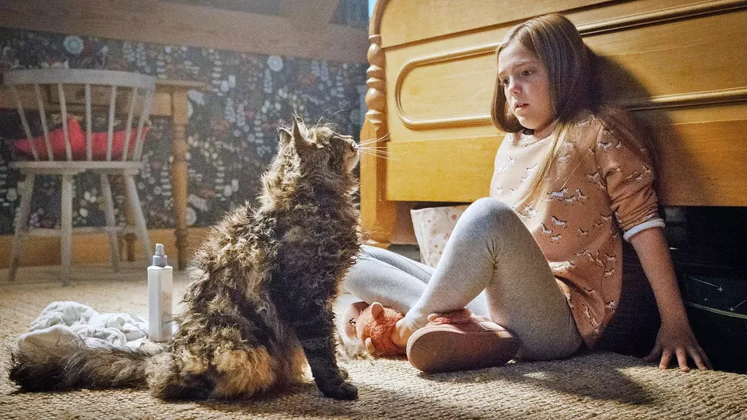 BAD KITTY! Ellie (Jeté Lawrence) discovers that her cat, which went missing for a day, is decidedly more hostile upon his return. - PHOTOS COURTESY OF ALPHAVILLE FILMS
