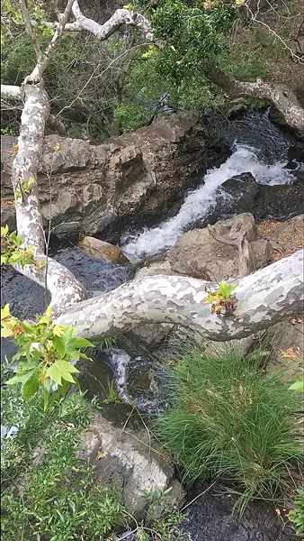 FLOWING A wooden bridge crosses Reservoir Creek just above the waterfall, and the water was moving fast and loose on a recent Sunday morning. - PHOTOS BY CAMILLIA LANHAM