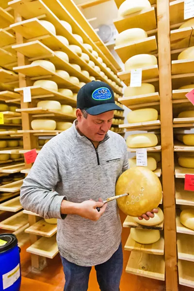 TRY IT Central Coast Creamery owner/cheesemaker Reggie Jones pulls a tasty morsel out of a round of a hybrid cheese the creamery collaborated with Firestone Walker Brewing Company on by soaking the cheese curds in Mocha Merlin before they were pressed. - PHOTO BY JAYSON MELLOM