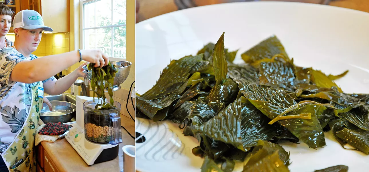 PESTO PESTO Kelpful co-founder Jules Marsh drops recently boiled giant kelp into a food processor to make pesto—and it was delicious. - PHOTO BY CAMILLIA LANHAM