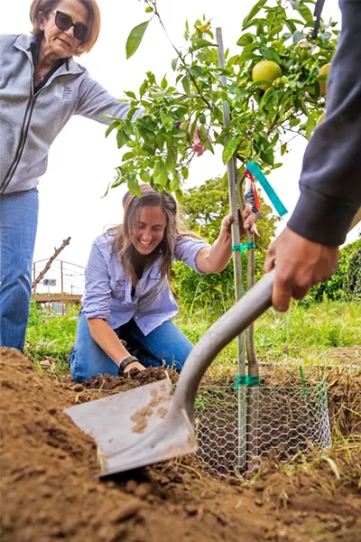 SAFE TO EAT Allan Hancock College agriculture professor Erin Krier is one of several educators at Cal Poly and Hancock who are developing a food-safety training program geared toward small-scale leafy greens farmers in the Santa Maria area. - FILE PHOTO BY JAYSON MELLOM