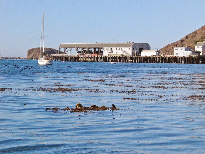 A HELPING HAND The Port San Luis Harbor Commission is considering extending its Lessee Recovery Program to two businesses—Wilcox Fisheries and Patriot Sportfishing—that are still struggling with COVID-19 hits. - PHOTO COURTESY OF THE PORT SAN LUIS HARBOR DISTRICT FACEBOOK PAGE
