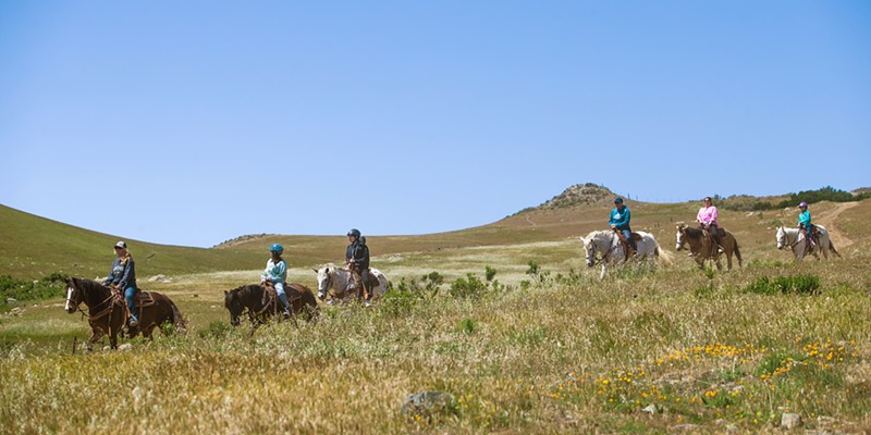 SADDLE UP Katie Tanksley (left) guides a group of riders through the meadows below Cerro San Luis as part of Madonna Inn Trail Rides, the Best Horseback Riding around.