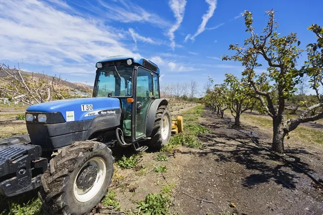 LAND SAVED: Cal Poly is taking possible development of some of its on-campus agriculture land out of its proposed master plan, thanks to the efforts of concerned students and faculty. - FILE PHOTO BY KAORI FUNAHASHI