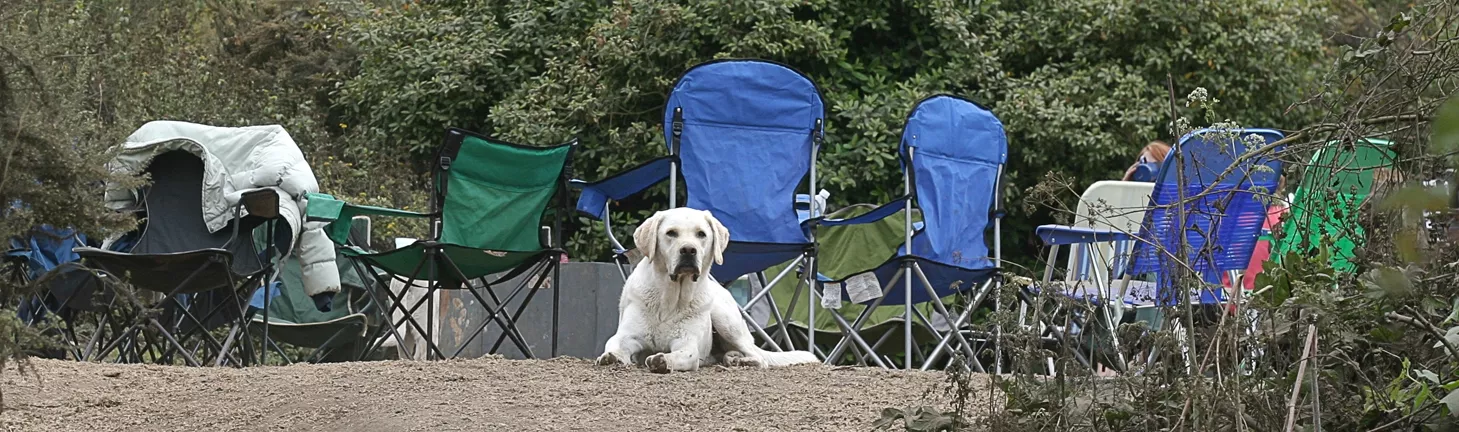 THE NOBLE BEAST : Elmer guards the camp and recons his next nocturnal mission. - PHOTO BY GLEN STARKEY