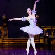 THE ROSE QUEEN : Michelle Epperheimer alone is “worth the price of admission,” said Artistic Director Drew Silvaggio. - PHOTO BY JULIE CAMPBELL