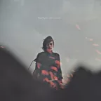 starkeyCD-tinyvipers_lifeonearth.jpg