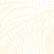 STARKEY-cd-beachhouse_teendream.jpg