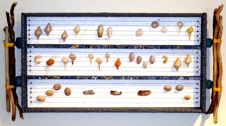BEACH MUSIC : This is the only of Sheryl Collmer’s beach altars not named after a specific place. The moon snail shells (aka “shark’s eyes), horse conches, whelks, and “turkey wings” are arranged along threads to mimic notes in a portion of Handel’s “Water Music.” - IMAGE COURTESY SHERYL COLLMER