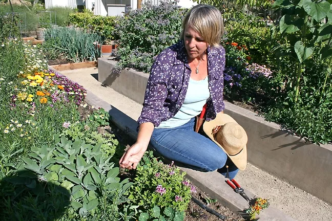 THE ART OF GARDENING : The Avant-Gardener, Annette Pollock, brings 25 years of gardening experience to clients that span wineries to private estates. - PHOTO BY HAYLEY THOMAS