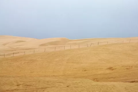 SANDS OF TIME : The fate of 584 acres in the Oceano Dunes is still undecided. - PHOTO BY JESSE ACOSTA