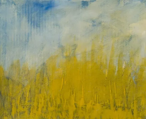 GRASS : - IMAGE BY ANNE STAHL