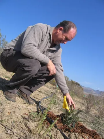 PLANNING AHEAD : Dr. V.L. Holland, a retired Cal Poly biology professor, has been leading Cal Poly students as they plant native vegetation in a former Union Asphalt mine pit with help from a grant from the company. - BY KATHY JOHNSTON