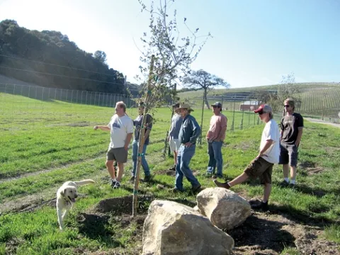 WARRING WINERIES : These small-winery owners in a quaint rural area west of Paso Robles are worried about their future, with a much larger facility proposed for this quiet Anderson Road site. - PHOTO BY KATHY JOHNSTON
