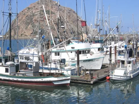 HEADING OUT : Morro Bay fishing boats are now targeting king salmon, with the opening of the season May 1. - PHOTO BY KATHY JOHNSTON