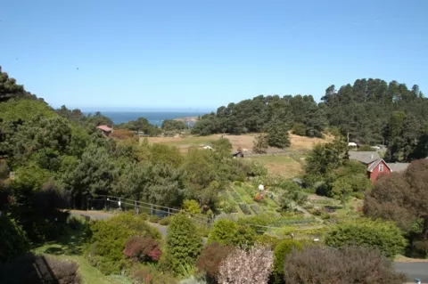 THE STANFORD GROUNDS : The view from the Stanford Inn by the Sea looks out on gorgeous grounds, organic gardens, a pond, and a horse pasture. - PHOTO BY DAN HARDESTY