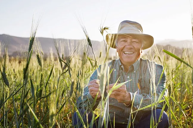LARRY’S LOVE : Los Osos farmer Larry Kandarian is passionate about bringing back ancient grains and seeds from camelina to kamut. - PHOTO BY SARA POPP