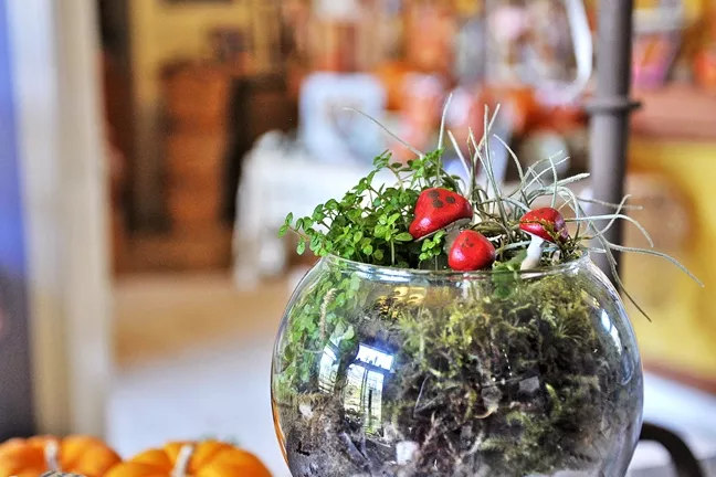 FIND YOUR MAKER: The ARTS Obispo Open Studios Tour includes painters, mosaic-creators, ceramicists, sculptors, wood workers, jewelry makers, photographers, and more. Cindy Dubbers made little clay mushrooms to complete a fairy-like garden in a glass orb. - PHOTO BY CAMILLIA LANHAM