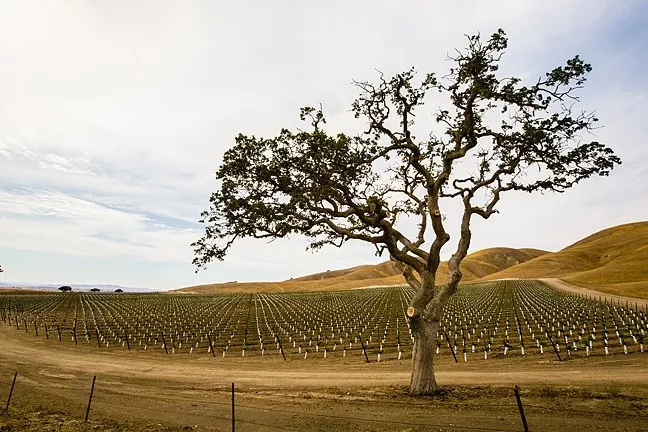 STATE HELP SLO County agencies are applying for much-needed state grants that will offset the costs of groundwater management. - FILE PHOTO
