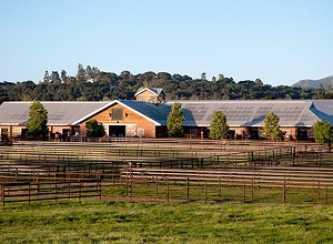 Templeton Farms founder donates horse ranch to UC Davis