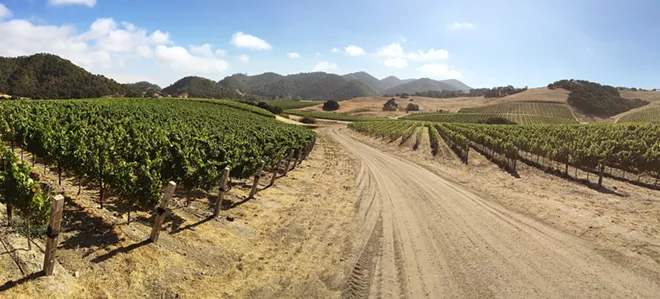 Bright energy: Albariño finds a home in the Edna Valley | Flavor | San Luis Obispo - Vimarsana News