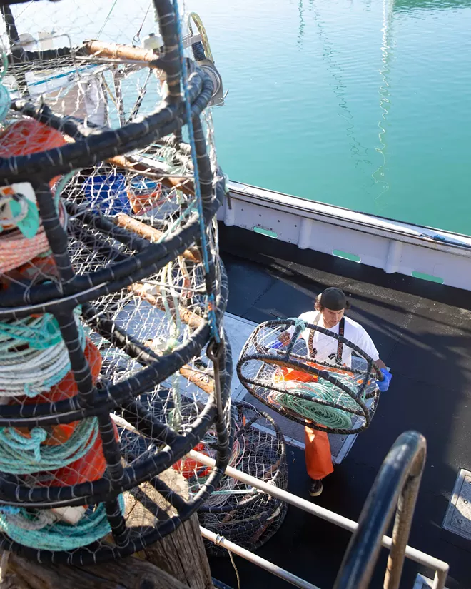 Ropeless gear bill gets put on hold - Vimarsana News