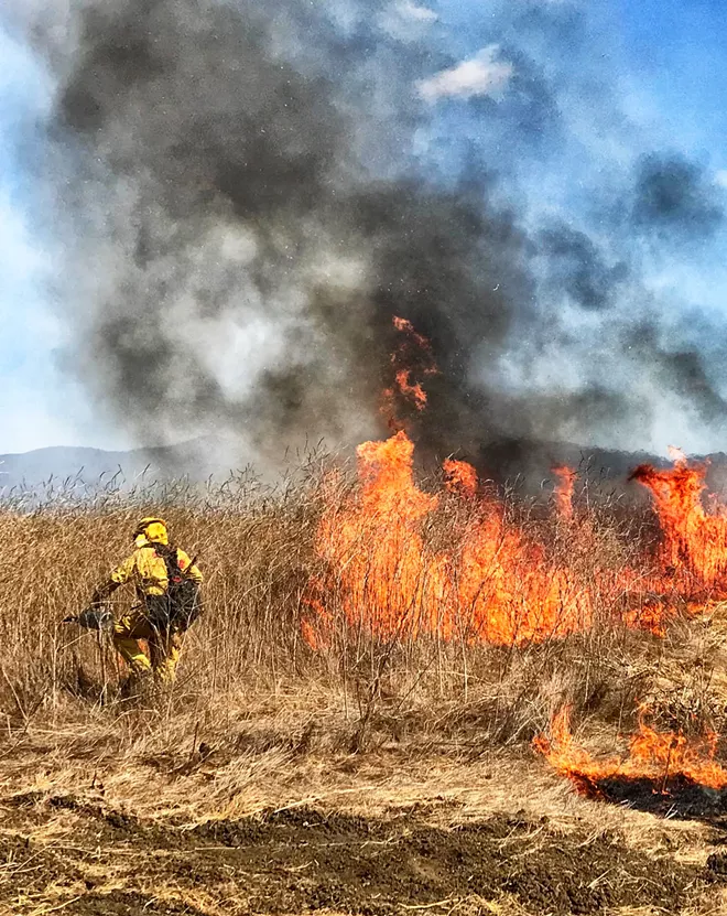 Grand jury says Cambria is more fire resilient, but recommends another investigation - Vimarsana News