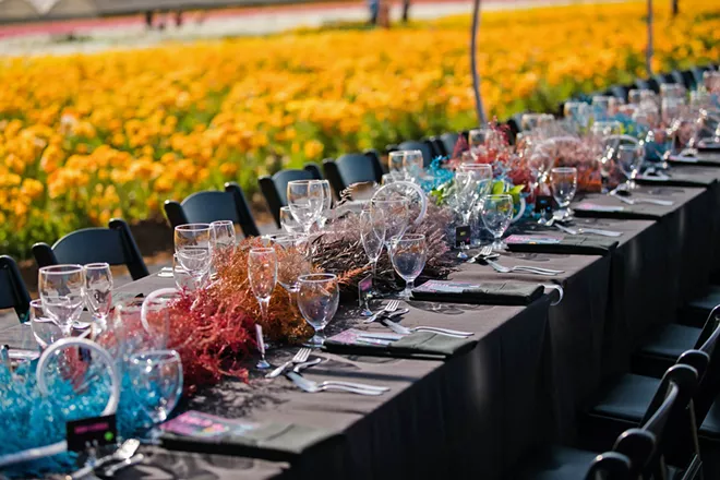 Field to Vase event transforms Arroyo Grande flower farm into a one-of-a-kind dining experience - Vimarsana News