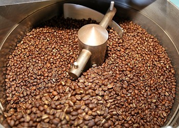 Paradigm shift: Paradigm Coffee Co. transcends specialty Joe