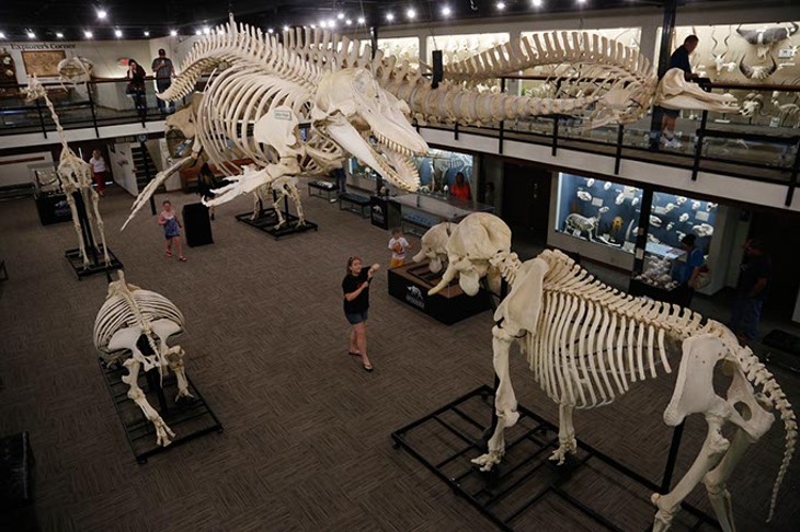 Museum of Osteology in Oklahoma City, Wednesday, June 24, 2015. - GARETT FISBECK