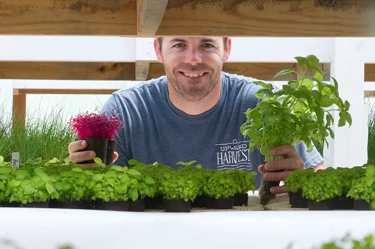 Travis Flatt of Upward Harvest glancing over the micro greens in his aquaponic garden. (Shannon Cornman)